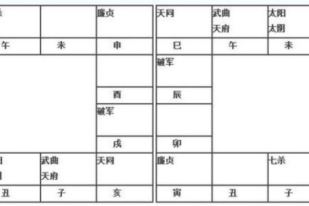 2025年2月22日卯时男命紫微斗数全解盘