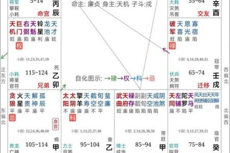 变动在夫妻宫什么意思_夫妻宫什么意思