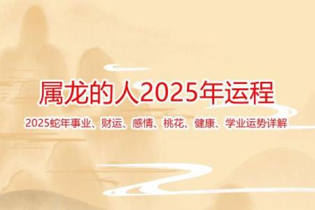 1976年属龙2025年穿什么颜色_1976属龙人2025开运色彩指南全年穿搭旺运攻略