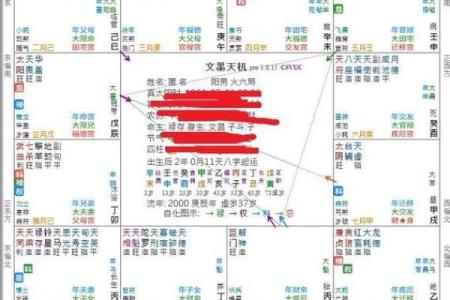 福德宫禄存 福德宫禄存解析财运与福气的关键所在