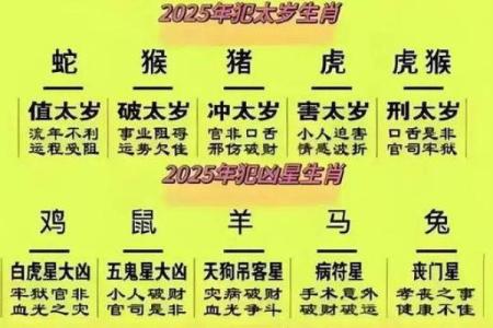 2025蛇年属龙运势详解农历各月运程全指南