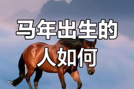 2014年属马一生命运如何_2014年属马人一生命运解析运势走向与命理揭秘
