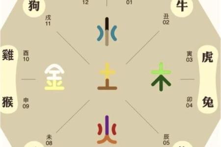 2025年属马运势_2025年属马运势详解吉凶预测与运势提升指南