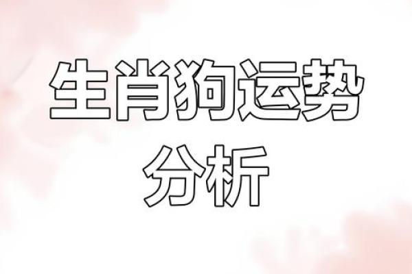 1970年属狗女今日财运解析运势如何提升 1970年属狗女今日财运解析运势如何提升