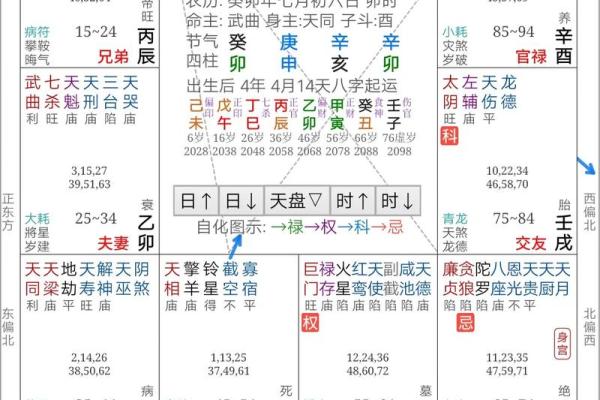 2025年2月18日卯时男命紫微斗数全解盘 2025年2月18日卯时男命紫微斗数全解盘