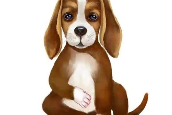 属狗2025年运势及运程每月运程狗_2025年属狗每月运势详解全年运程预测与吉凶分析 属狗2025年运势及运程每月运程狗_2025年属狗每月运势详解全年运程预测与吉凶分析