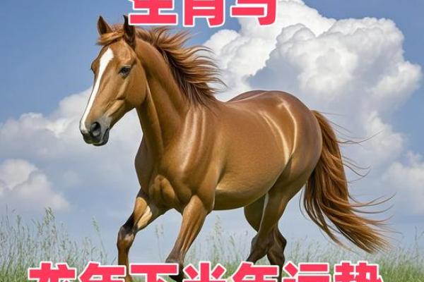 1966年属马今日运势查询_1966年属马今天运势 1966年属马今日运势查询_1966年属马今天运势