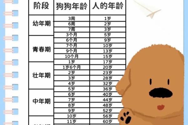 2025年属狗人年龄查询今年你多大 2025年属狗人年龄查询今年你多大