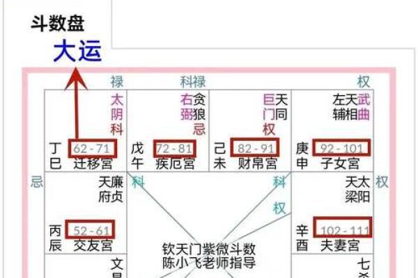 2025年3月19日子时男命紫微斗数全解盘