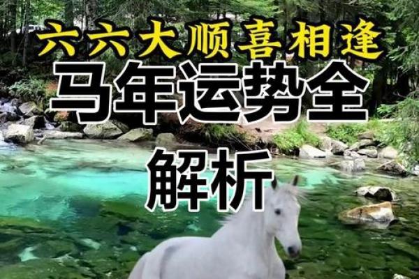 属马人2020年运势