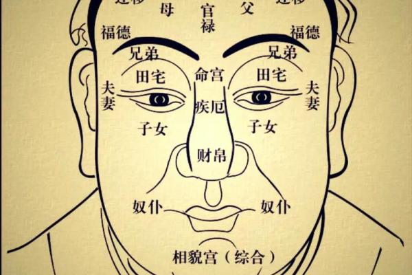 福德宫化禄入财帛宫_福德宫化禄入财帛宫超级能花钱 福德宫化禄入财帛宫_福德宫化禄入财帛宫超级能花钱