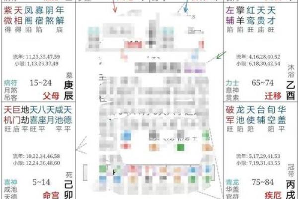 2025年3月27日寅时女命紫微斗数全解盘
