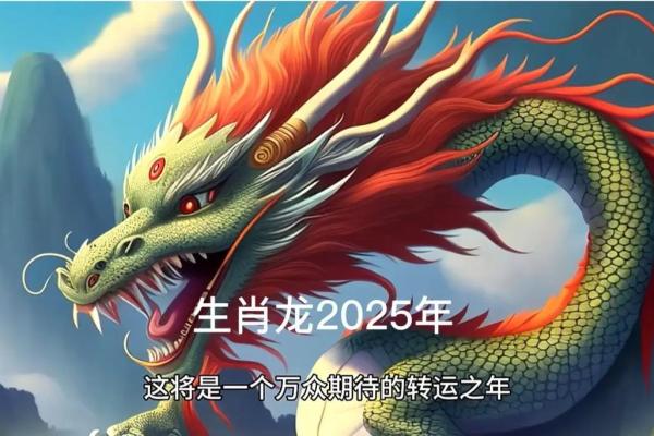 1976年龙人2025全年每月运势详解 1976年龙人2025全年每月运势详解