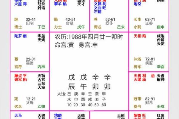 2025年3月1日寅时男命紫微斗数全解盘 2025年3月1日寅时男命紫微斗数全解盘