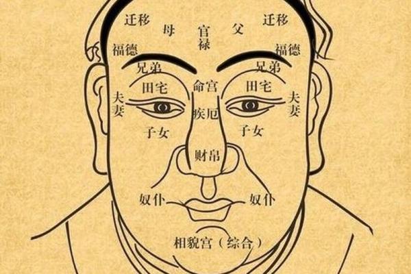 福德宫代表什么_福德宫代表什么意思 福德宫代表什么_福德宫代表什么意思