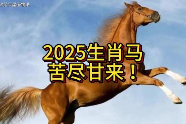 02年属马2025运势及运程详解 2025年属马运势详解最新完整版 02年属马2025运势及运程详解 2025年属马运势详解最新完整版