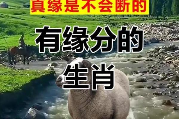 属羊67年寿命_属羊67年寿命劫数59岁要当心意外