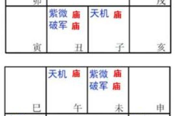 2025年3月2日卯时男命紫微斗数全解盘