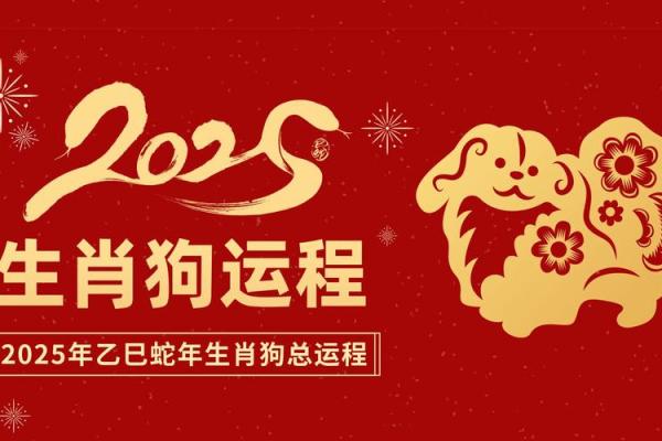 94年属狗男2025年运势_94年属狗男2025年运势完整版