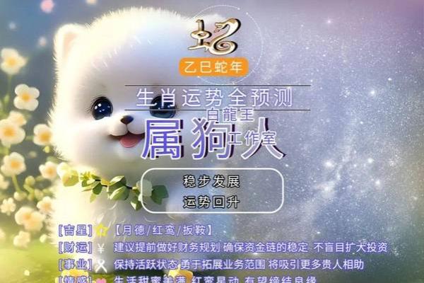 属狗2024年的运势及运程_2025年生肖狗全年运程 属狗2024年的运势及运程_2025年生肖狗全年运程