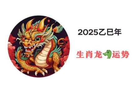 2025年属龙财运如何_2025年属龙人逐月财运解析全年运势全揭晓