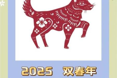 2025属狗每月运势运程详解 2025属狗全年运势