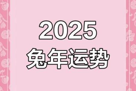 属兔人2021年下半年运势咋样