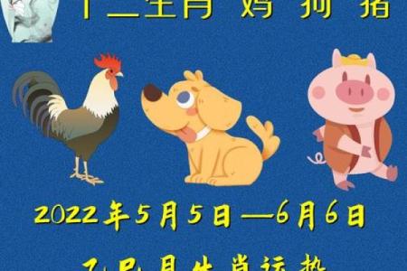 19年1月21属猪还是属狗_19年11月属猪的是什么命