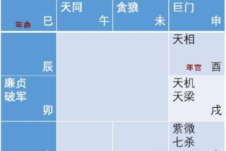 2025年2月24日丑时女命紫微斗数全解盘