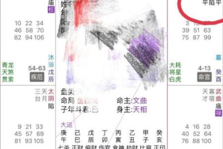 福德宫天马 福德宫天马运势解析与风水布局指南