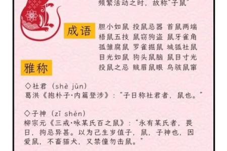 春梦易醒是什么生肖