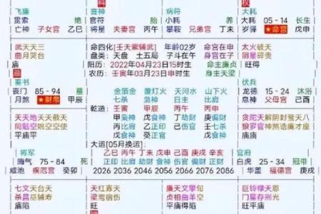 2025年3月25日子时女命紫微斗数全解盘