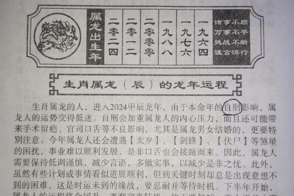 64年属龙人2025全年运势详解运程吉凶全解析 64年属龙人2025全年运势详解运程吉凶全解析