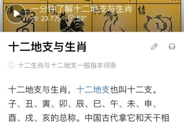 1988年腊月二十八属龙还是属蛇 1988年农历腊月廿八生人生肖归属龙蛇之辨 1988年腊月二十八属龙还是属蛇 1988年农历腊月廿八生人生肖归属龙蛇之辨