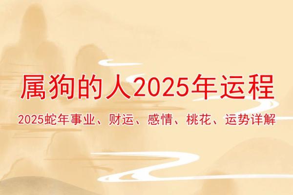 2025年82年4月属狗人运势详解事业财运全解析 2025年82年4月属狗人运势详解事业财运全解析