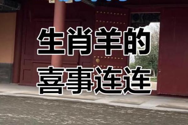 2025年属羊的多大 2025年属羊的多大岁数 2025年属羊的多大 2025年属羊的多大岁数