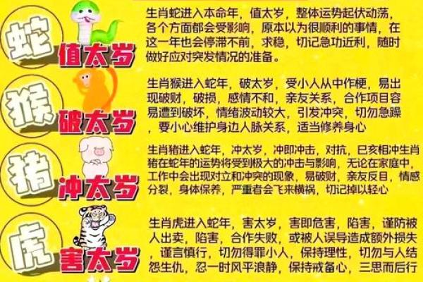 91属羊人2025年全年运势详解_2025年属羊的全年运势如何 91属羊人2025年全年运势详解_2025年属羊的全年运势如何