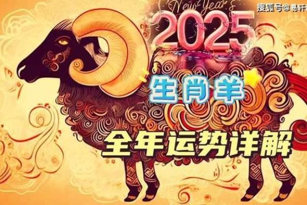 91属羊人2025年全年运势详解_2025年属羊的全年运势如何 91属羊人2025年全年运势详解_2025年属羊的全年运势如何