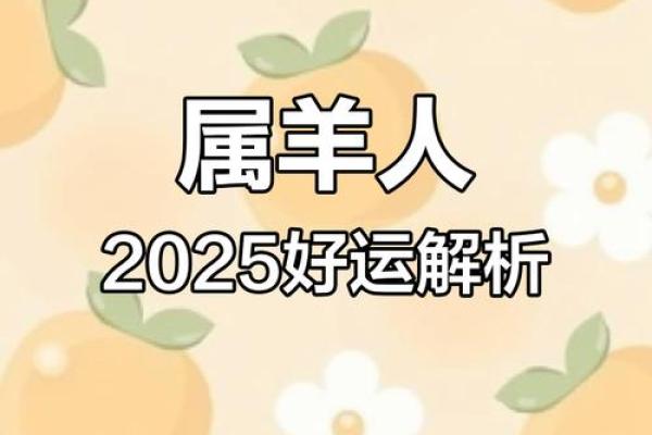 属羊人2025年全年运势及每月运程_属羊的人2025年的运势及运程