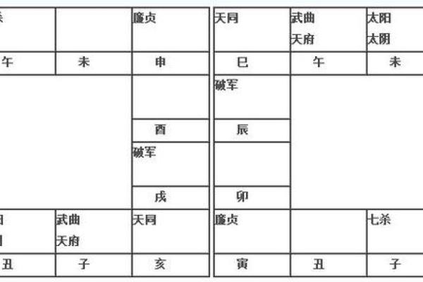 2025年2月23日子时女命紫微斗数全解盘