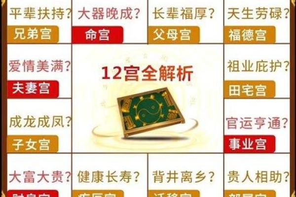 2025年2月21日寅时女命紫微斗数全解盘