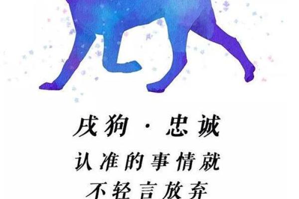 属狗的2025年运势解析事业财运感情全攻略