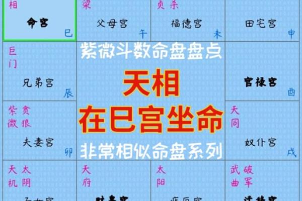 2025年3月1日丑时女命紫微斗数全解盘
