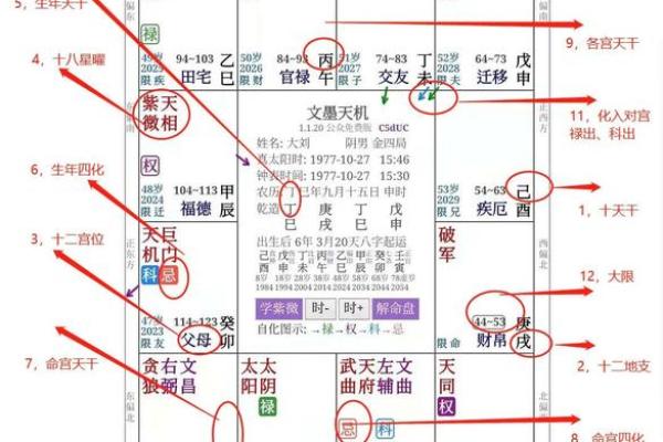 2025年2月24日子时男命紫微斗数全解盘