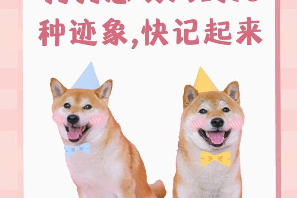 女人梦见狗咬手是什么预兆