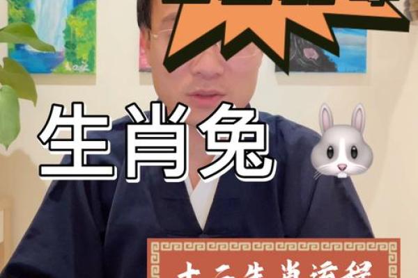 2021年属兔人的全年运势 2021年属兔人的全年运势