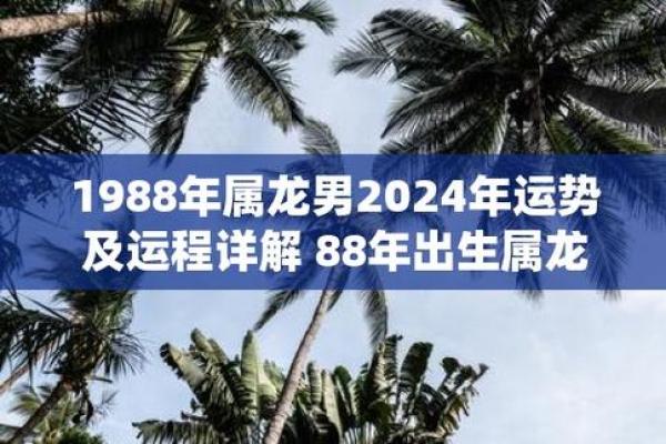 88年属龙运势 88年属龙运势怎么样