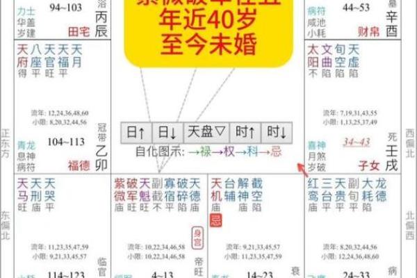 2025年3月5日丑时男命紫微斗数全解盘
