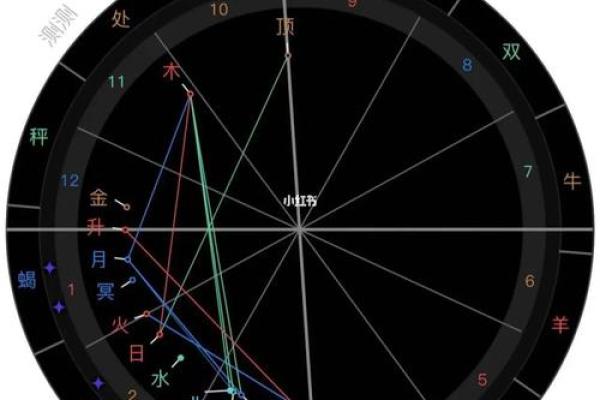 2025年3月5日丑时男命紫微斗数全解盘