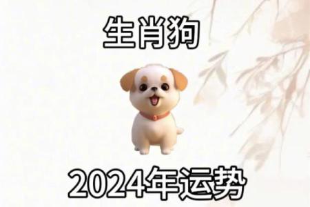 2025生肖狗_2025生肖狗运势运程详解